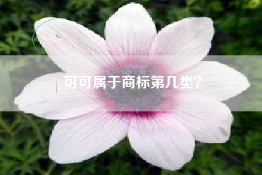 可可属于商标第几类？
