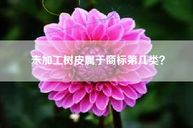 未加工树皮属于商标第几类？