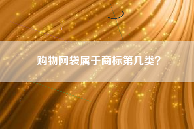 购物网袋属于商标第几类？