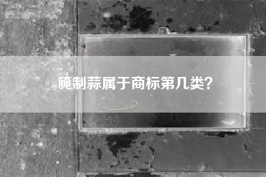 腌制蒜属于商标第几类？