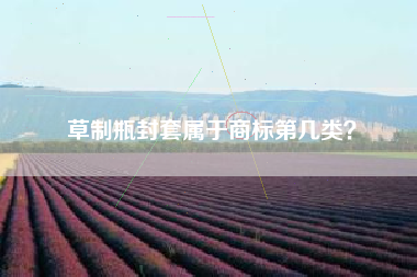 草制瓶封套属于商标第几类？