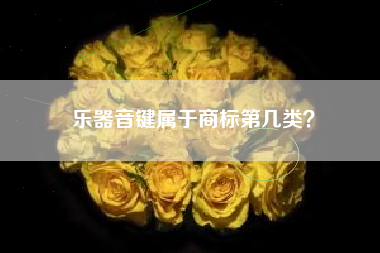 乐器音键属于商标第几类？