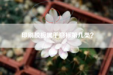 印刷胶板属于商标第几类？