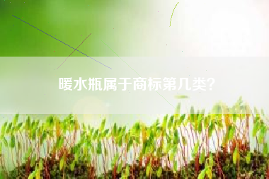暖水瓶属于商标第几类？