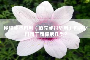 橡胶或塑料制（填充或衬垫用）包装材料属于商标第几类？