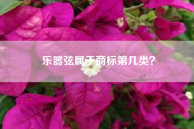 乐器弦属于商标第几类？