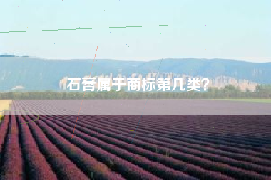 石膏属于商标第几类？