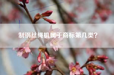 制钢丝绳机属于商标第几类？