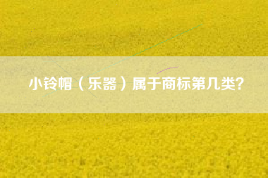 小铃帽（乐器）属于商标第几类？