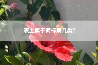表土属于商标第几类？