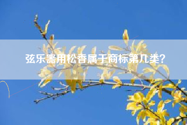 弦乐器用松香属于商标第几类？