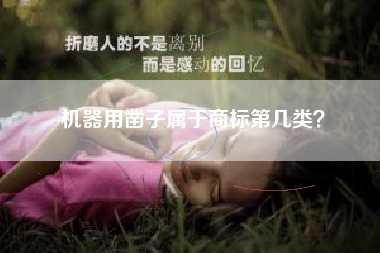 机器用凿子属于商标第几类？