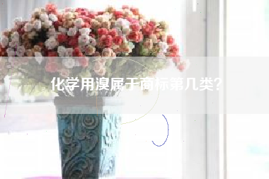 化学用溴属于商标第几类？