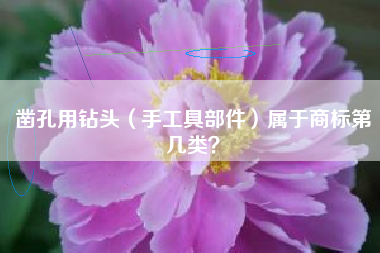 凿孔用钻头（手工具部件）属于商标第几类？