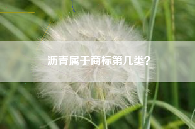 沥青属于商标第几类？