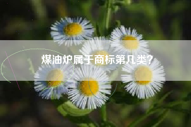 煤油炉属于商标第几类？