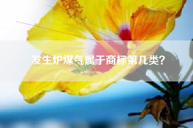 发生炉煤气属于商标第几类？