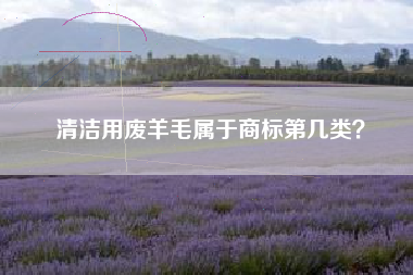 清洁用废羊毛属于商标第几类？
