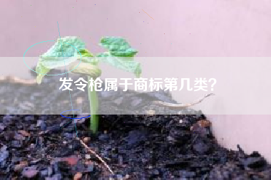 发令枪属于商标第几类？