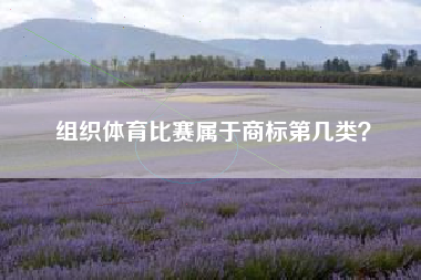 组织体育比赛属于商标第几类？