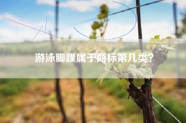 游泳脚蹼属于商标第几类？