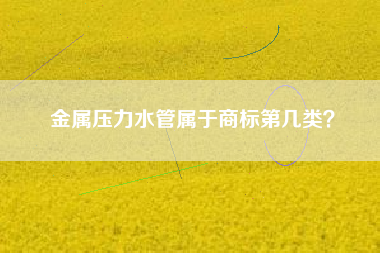 金属压力水管属于商标第几类？