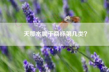 天那水属于商标第几类？