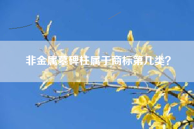 非金属墓碑柱属于商标第几类？