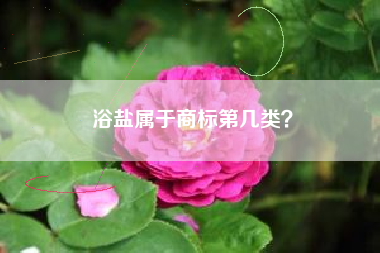 浴盐属于商标第几类？