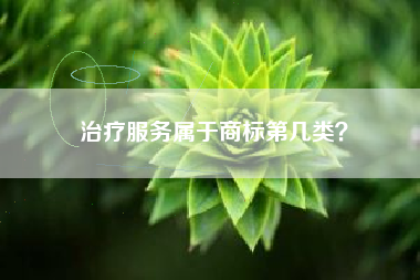 治疗服务属于商标第几类？