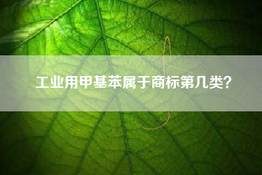 工业用甲基苯属于商标第几类？
