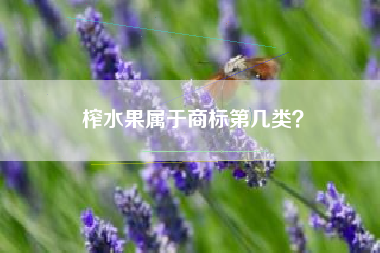 榨水果属于商标第几类？