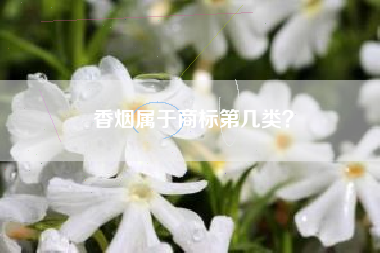 香烟属于商标第几类？