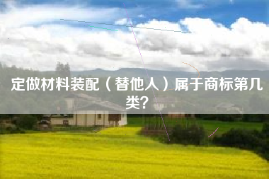 定做材料装配（替他人）属于商标第几类？