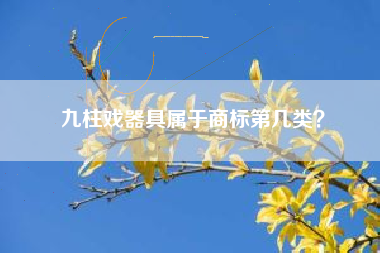 九柱戏器具属于商标第几类？