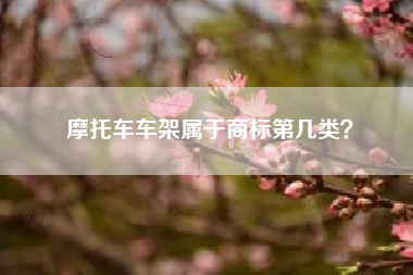 摩托车车架属于商标第几类？
