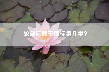 轮毂箍属于商标第几类？
