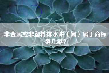 非金属或非塑料排水阱（阀）属于商标第几类？