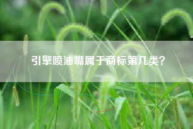 引擎喷油嘴属于商标第几类？