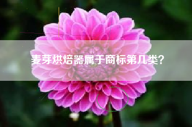 麦芽烘焙器属于商标第几类？