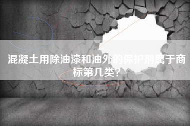 混凝土用除油漆和油外的保护剂属于商标第几类？