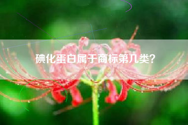 碘化蛋白属于商标第几类？