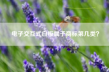 电子交互式白板属于商标第几类？