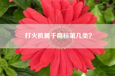 打火机属于商标第几类？