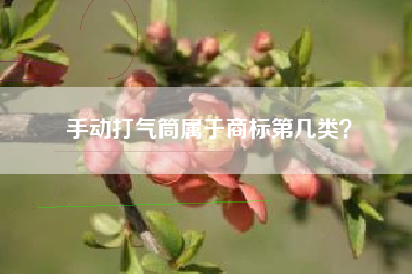 手动打气筒属于商标第几类？