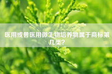 医用或兽医用微生物培养物属于商标第几类？