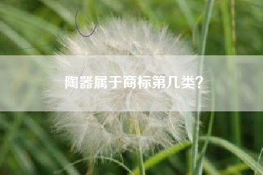 陶器属于商标第几类？