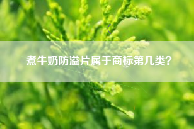 煮牛奶防溢片属于商标第几类？