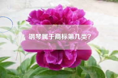 钢琴属于商标第几类？
