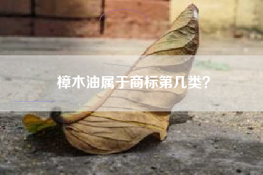 樟木油属于商标第几类？